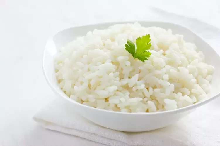 salendav riis